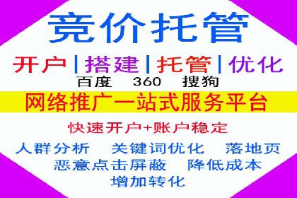 案例研究：百度推广托管助力电商品牌快速崛起